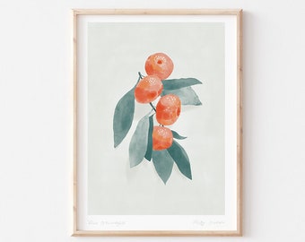 Oranges – A4 Print | Botanical Print - Art Print - Kitchen Art - Childrens Wall Art - Fruit Print