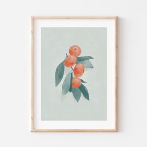 Oranges – A3 Print | Botanical Print - Art Print - Kitchen Art - Childrens Wall Art - Fruit Print