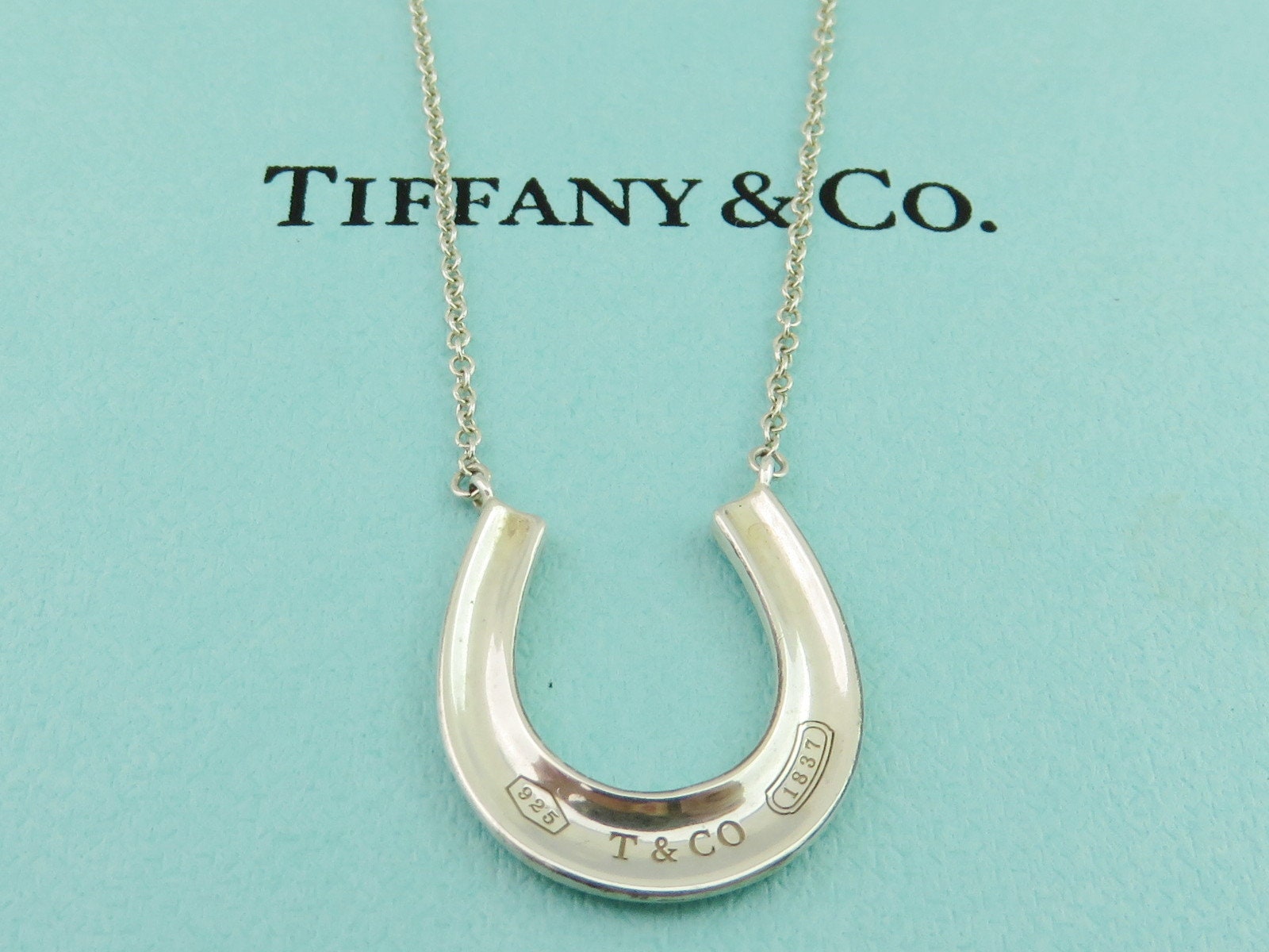 Amazon.com: Tarsus Horseshoe Necklace, Luckly Horse Gifts Jewelry Present  for Girls Teenager: Clothing, Shoes & Jewelry