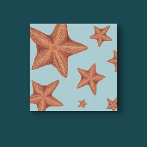Starfish Canvas Print