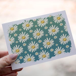 25 cartes postales 5 x 7 pouces - Motif marguerite