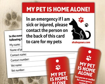 Home Alone Pet Safety Card and Fob Key Ring Set, birthday gifts, Christmas gifts, dog lovers, cat lovers, ICE