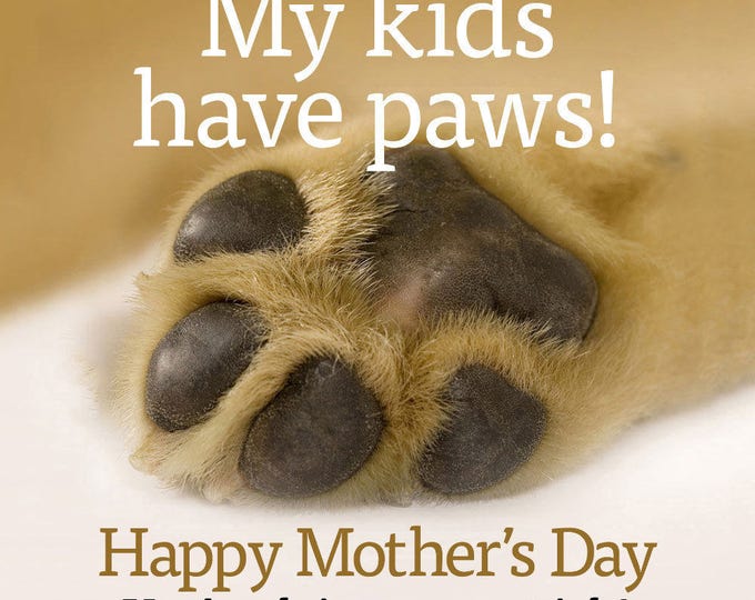 My kids have paws – Happy Mother’s Day card