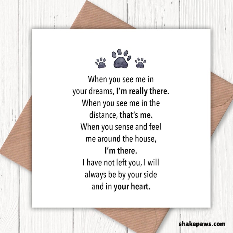 sorry-for-the-loss-of-your-pet-when-you-see-me-in-your-etsy