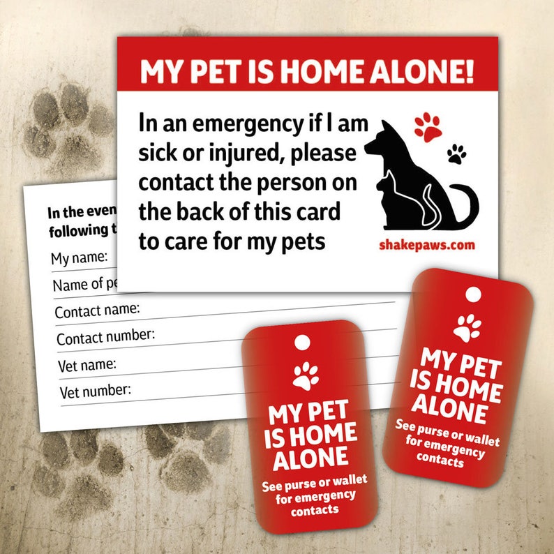 Home Alone Pet Safety Card and Fob Key Ring Set, birthday gifts, Christmas gifts, dog lovers, cat lovers, ICE 