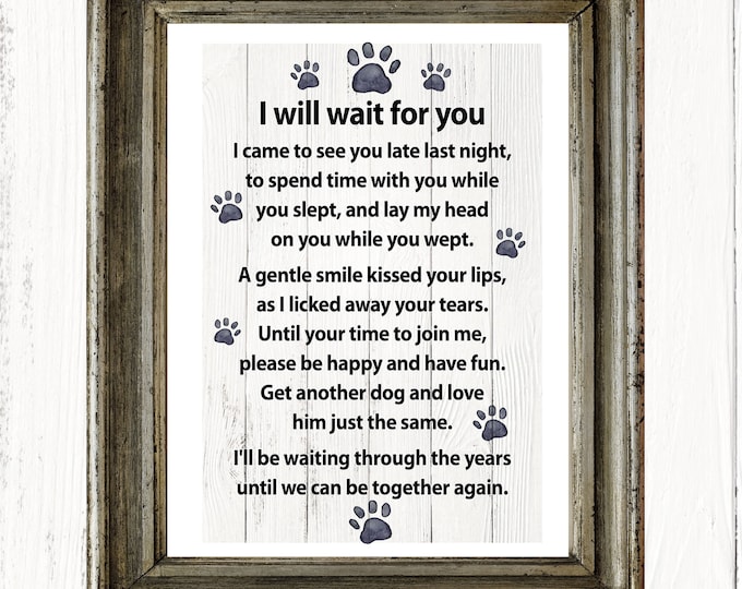 I will wait for you… a message from your dog