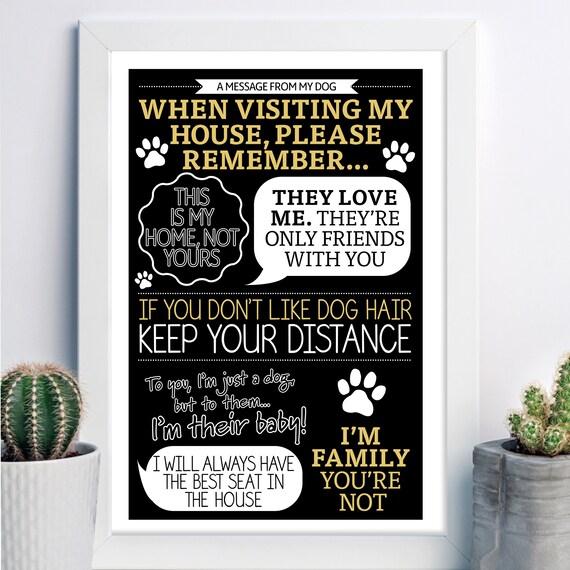 In your dog house gifts deals