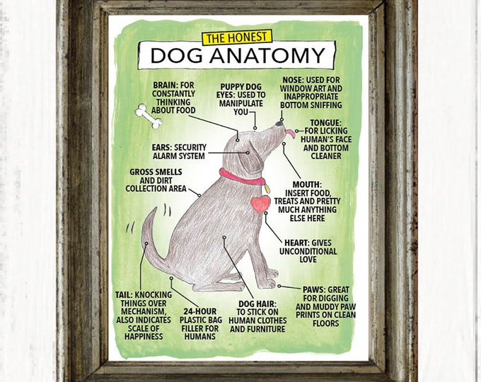 The Honest Dog Anatomy funny art print, Christmas gifts, Birthday gifts