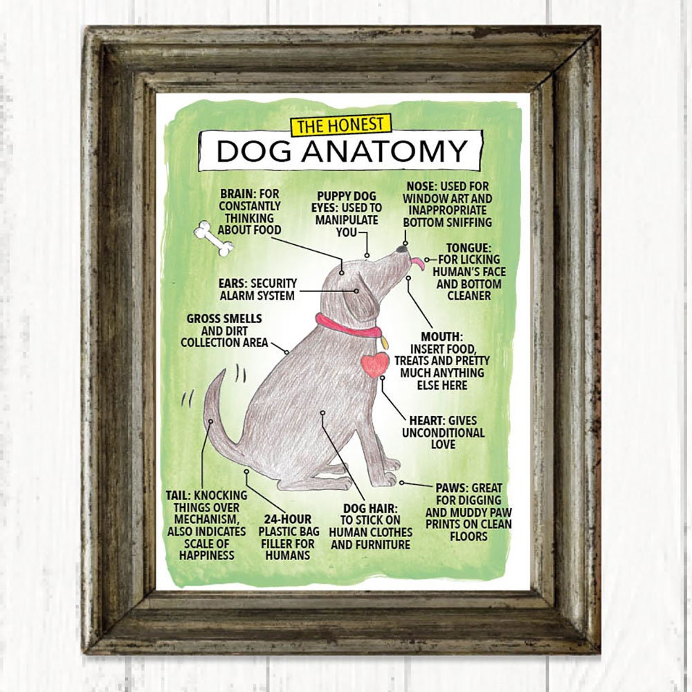 The Honest Dog Anatomy Funny Art Print Christmas Gifts - Etsy The Honest Dog Anatomy Funny Art Print Christmas Gifts - Etsy