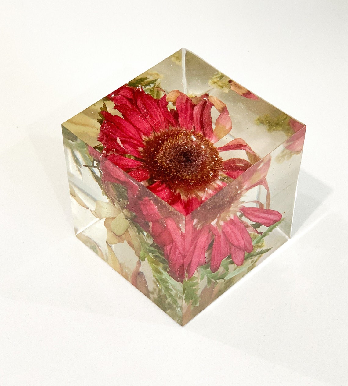 CUSTOM Medium Floral Resin Cube Flower Preservation Etsy