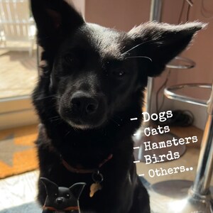 Puede incluir: Un perro negro con un collar marr&oacute;n mira a la c&aacute;mara. El perro sostiene una peque&ntilde;a figura negra de un perro en su boca. El texto "Dogs", "Cats", "Hamsters", "Birds", y "Others..." est&aacute; escrito en una superficie blanca detr&aacute;s del perro.
