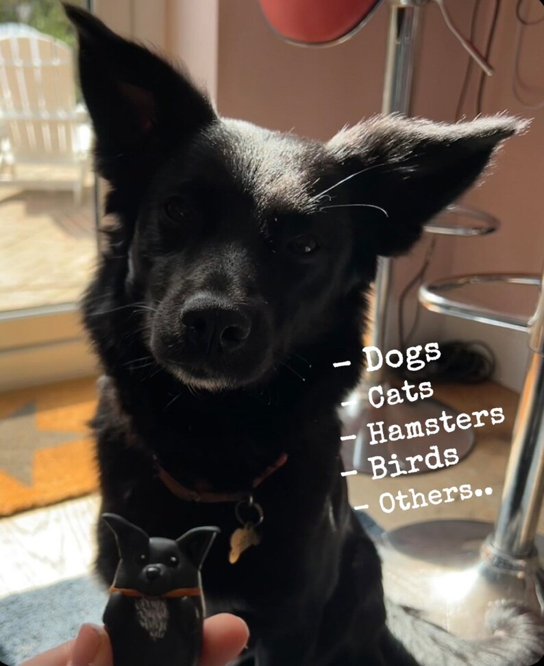 Puede incluir: Un perro negro con un collar marr&oacute;n mira a la c&aacute;mara. El perro sostiene una peque&ntilde;a figura negra de un perro en su boca. El texto "Dogs", "Cats", "Hamsters", "Birds", y "Others..." est&aacute; escrito en una superficie blanca detr&aacute;s del perro.