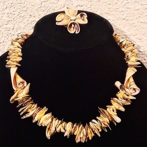 Puede incluir: Un collar de conchas doradas y blancas con un broche a juego. El collar está hecho de muchas conchas pequeñas y planas que están dispuestas en un patrón en espiral. El broche es una sola concha más grande con una perla en el centro.