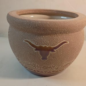 Puede incluir: Una maceta redonda de cerámica marrón claro texturizada con interior blanco. La maceta presenta una silueta de Longhorn en el centro y detalles decorativos alrededor de la base. Adecuada para uso en interiores o exteriores.