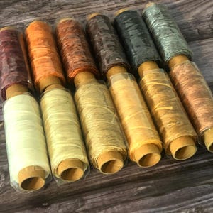 May include: Ten spools of coloured thread, each wrapped in clear plastic. The thread colours vary from deep burgundy and orange to light green and gold. The spools are arranged on a wooden surface.