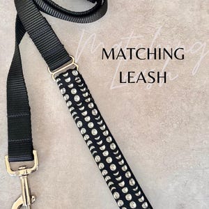 Add a Matching Dog Leash