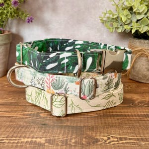May include: Three dog collars with different botanical prints. The top collar is green with large white monstera leaves. The middle collar is white with a variety of green plants and flowers. The bottom collar is cream with a delicate green leaf pattern. All collars have silver hardware.