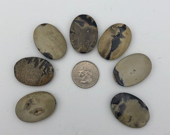 Variegated Jasper  Etsy
