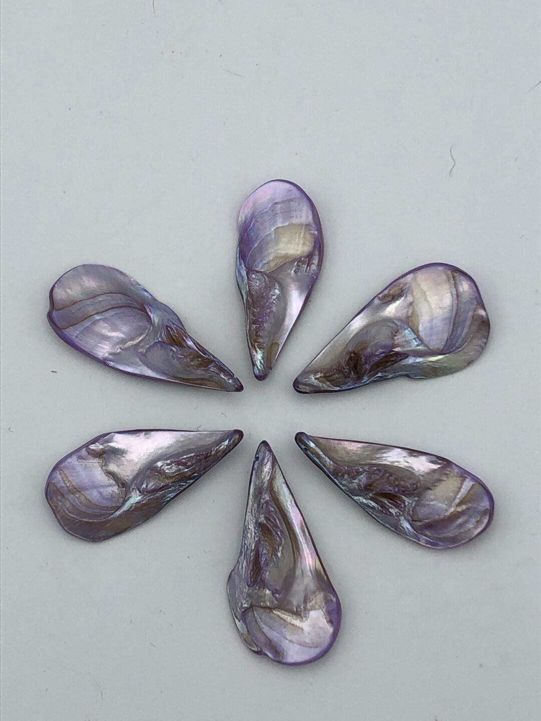Shell Lilac Lilac Shell Teardrops - Etsy
