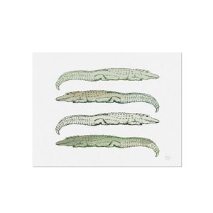 Lazy Alligators - Art Print, Wall Art, Home Decor, Reptile Art, Louisiana, Swamp, Nature