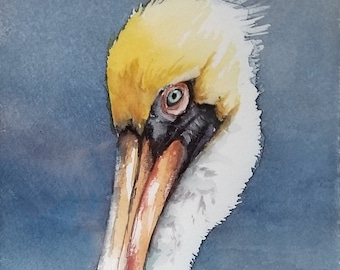 Brown Pelican, shore bird, watercolor print