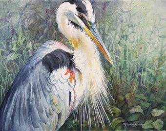 Great Blue Heron, marsh bird, watercolor print