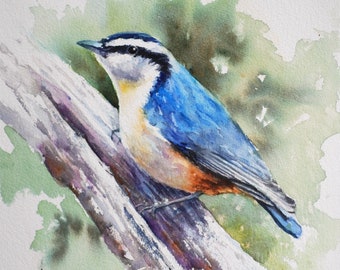 Red Breasted Nuthatch, songbird watercolor print