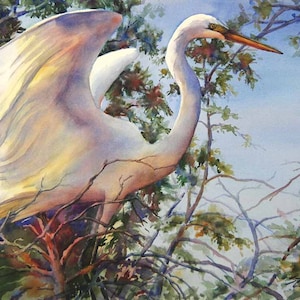 Great egret, white bird, wading bird, Louisiana watercolor art print