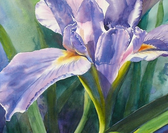 Purple Iris, floral  watercolor art print, purple flowers