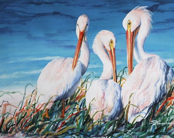 white pelicans, pelicans on seashore, watercolor print