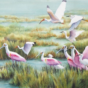 Roseate spoonbills, egrets, ibis, in the Louisiana marsh landscape print