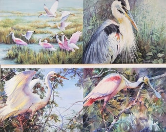 Notecards of marsh birds, Egret, Blue Heron, Roseate Spoonbill