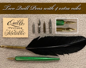 Two Nice Quill Pens with 4 extra flex nibs