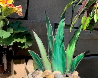 Stained Glass Aloe Vera Plant