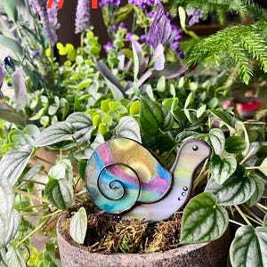 Snail Pal