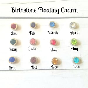 Floating Charms / Birthstone Charms / Birthstone Flowers / Birthstone floating charms / flower floating charms Add-On Charms - ONLY .75 SALE