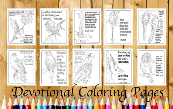 20 Pages Birds PDF Downloadable Colouring Pages