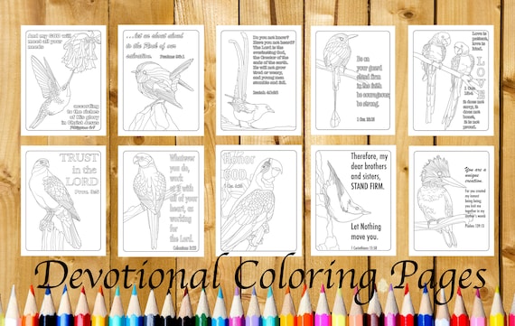 20 Pages Birds PDF Downloadable Colouring Pages