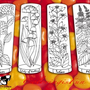 DIY Coloring Bookmarks Wild Flowers & Herbs Doodles Intricate Designs Printable for Bible Journaling Bottle Tubes 8 sets