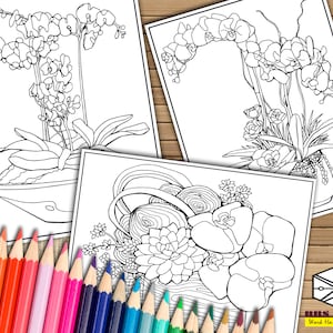 Orchid Flower Coloring Pages: Printable Art Therapy (Downloadable)