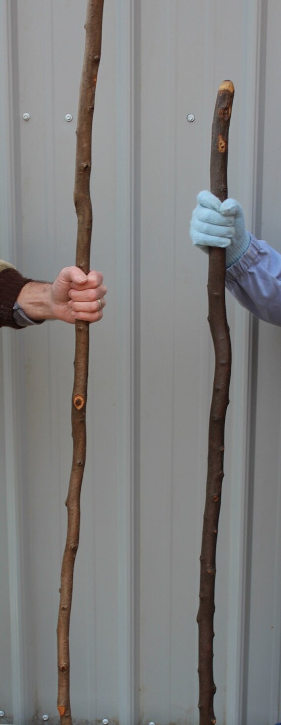 Best selling WALKING HIKING STICK | Etsy