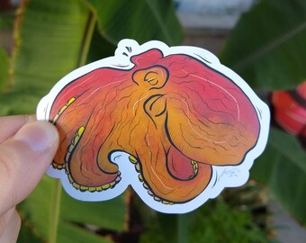 Pacific Red Octopus | Fridge Magnet