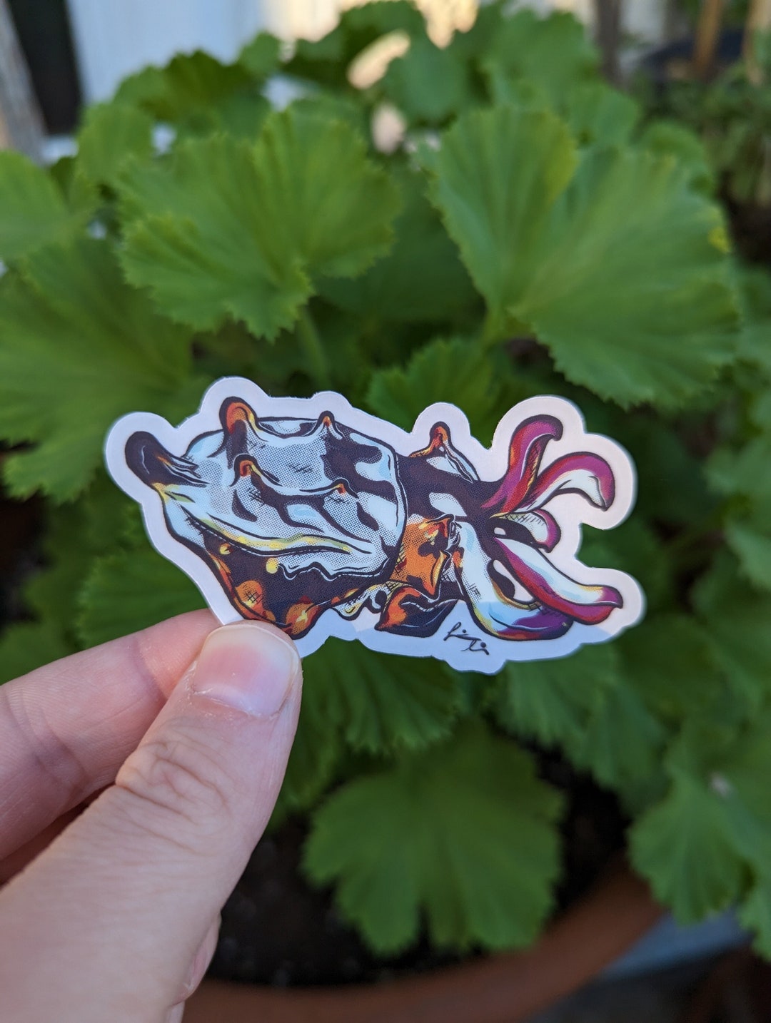 Flamboyant Cuttlefish Sticker - Etsy