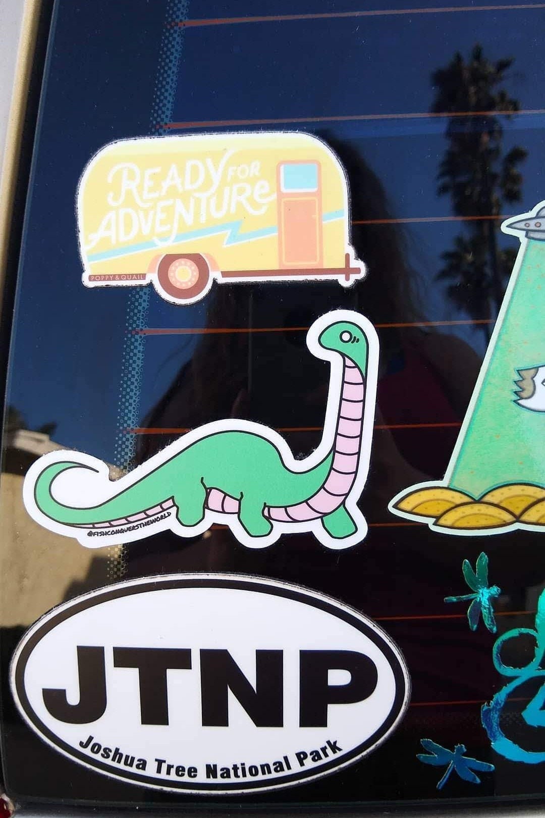 Brontosaurus | Vinyl Sticker - Etsy
