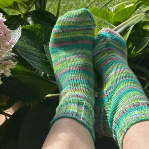 May include: A pair of hand-knitted socks with a green, blue, pink, and yellow striped pattern. The socks are visible from the ankles down, set against a backdrop of green foliage and pink hydrangea flowers.