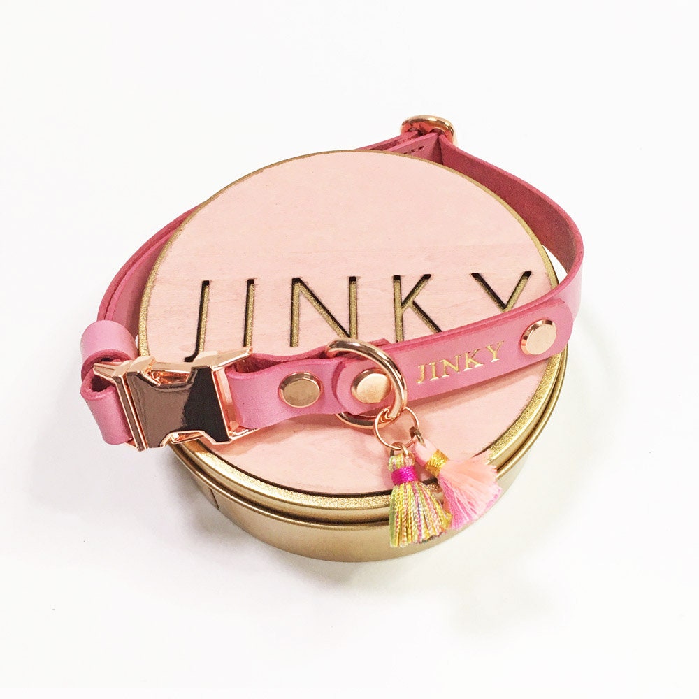1.5cm Col Pour Chien