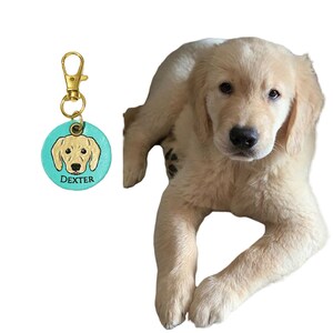Golden Retriever Zeichnen