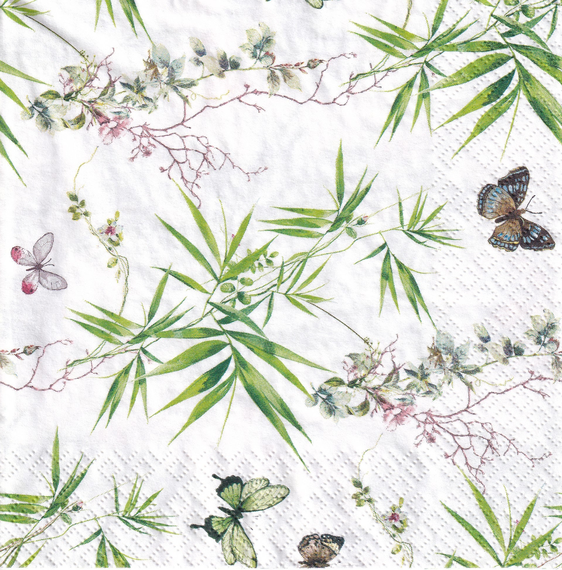 Bamboo flowers essay picture