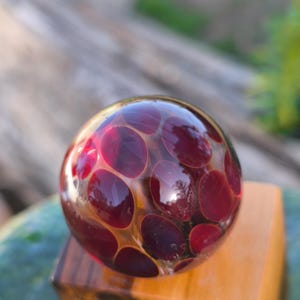 Transparent Red dots on clear handmade borosilicate glass marble.Dr Sawfish 2026.