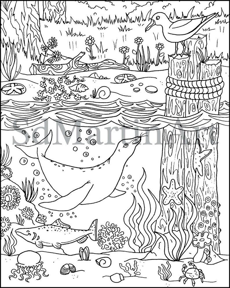 Sea Lion Under the Sea-Printable Adult Coloring Book Page-For | Etsy